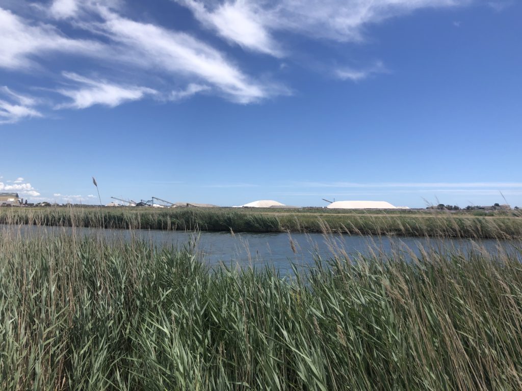 Camargue sel - La Méditerranée en vélo