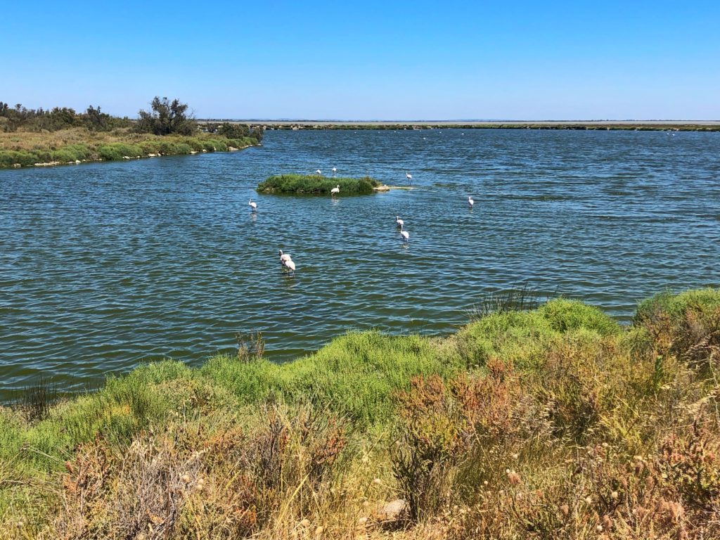 Camargue - La Méditerranée en vélo